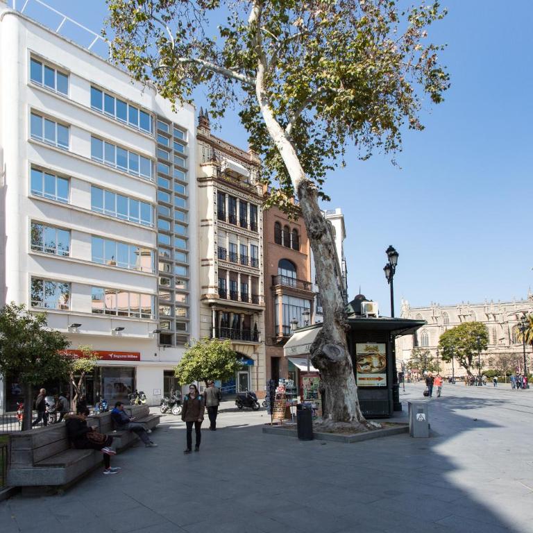 Apartamentos Edificio Constitución - Estudio (3 adultos) - Calle Adolfo Rodríguez Jurado, 8, 2° piso - 11