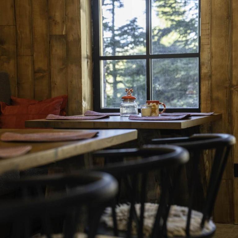 Chalet 1600 Kopaonik Spa, Cinema & Game Lounge - Vila - 28