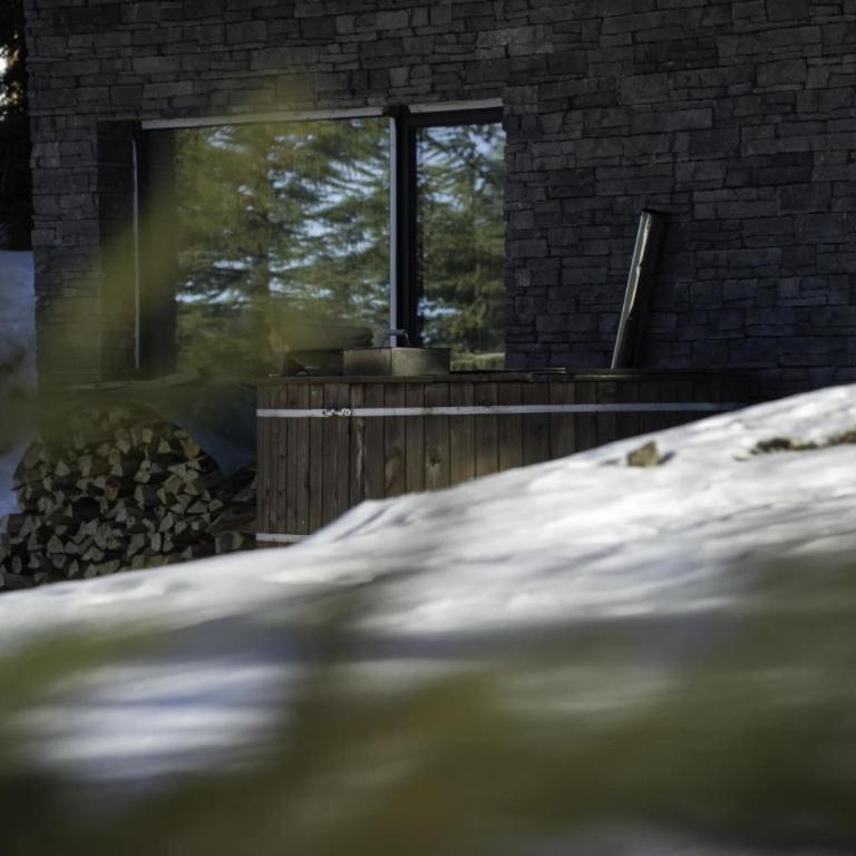 Chalet 1600 Kopaonik Spa, Cinema & Game Lounge - Vila - 40