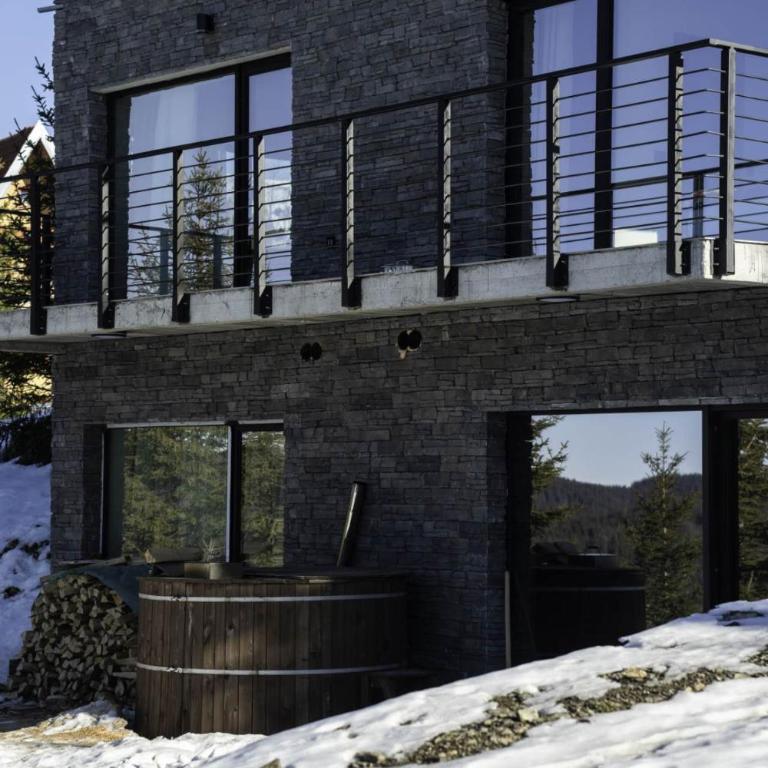 Chalet 1600 Kopaonik Spa, Cinema & Game Lounge - Vila - 60