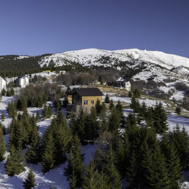 Chalet 1600 Kopaonik Spa, Cinema & Game Lounge - Vila - 45