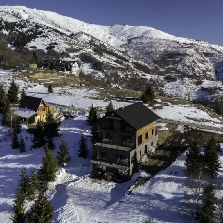 Chalet 1600 Kopaonik Spa, Cinema & Game Lounge - Vila - 48