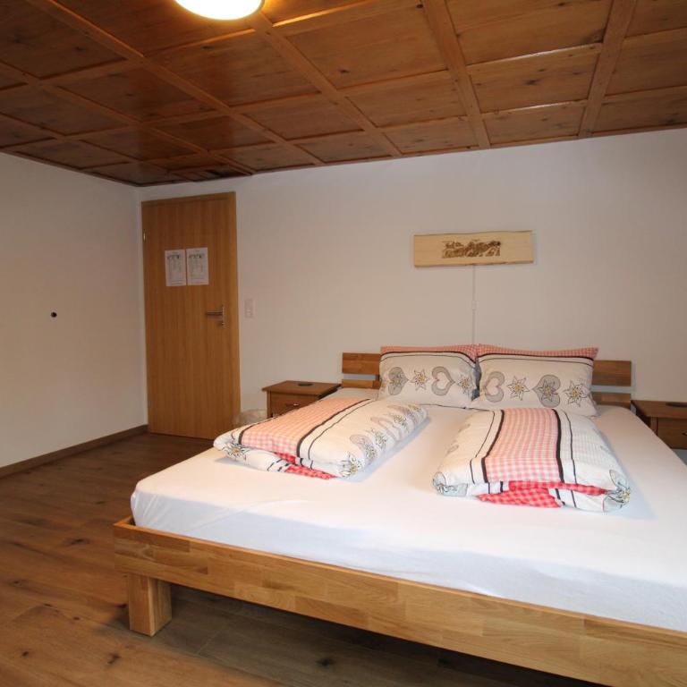 Gasthaus Schwand - Habitación Doble con vistas a la montaña - 8
