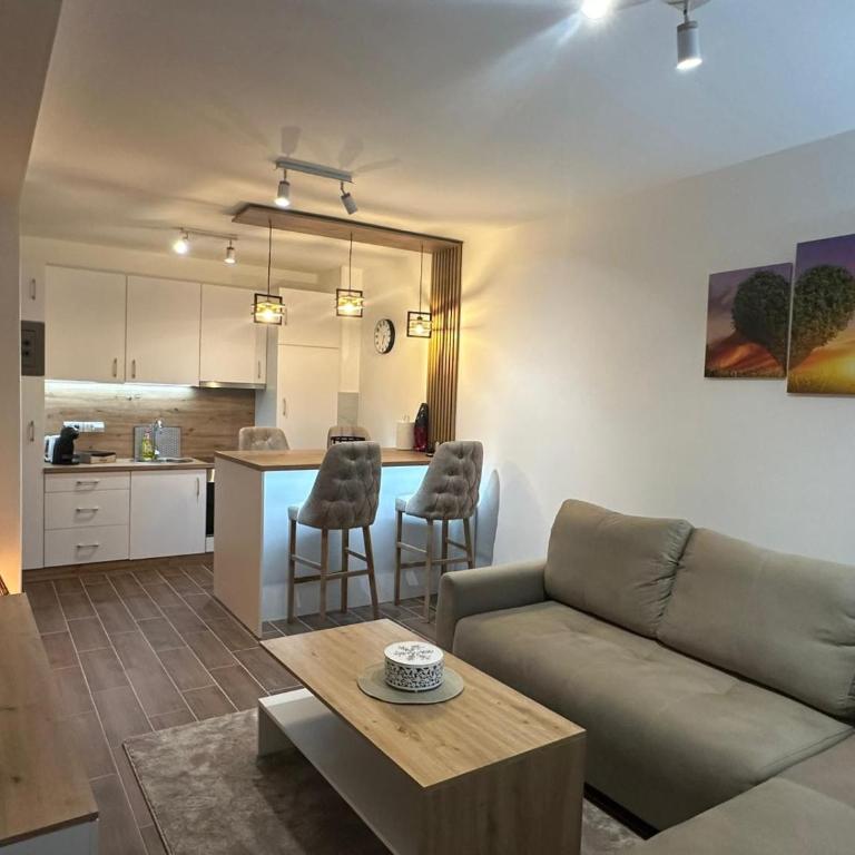 Apartman Vasić - Apartman sa 1 Spavaćom Sobom - 3
