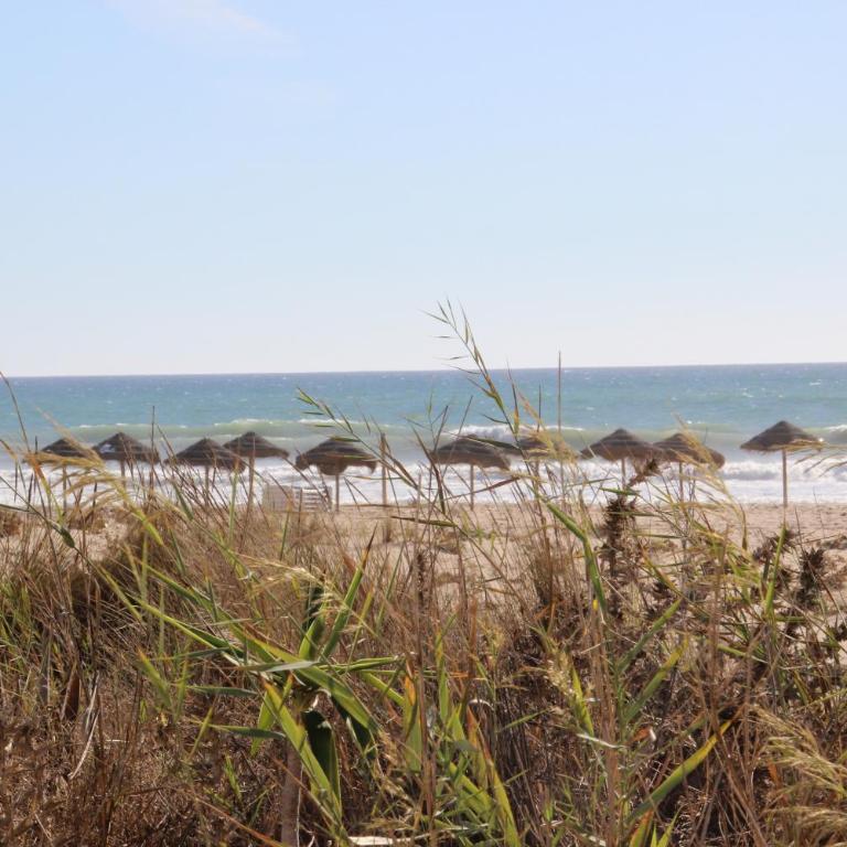 Apartamento Atlanterra Playa - Apartamento de 2 dormitorios con vistas al jardín - 22