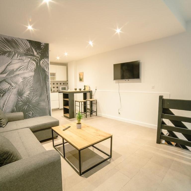 Suite Saint SerninT2 Hypercentre - Appartement 1 Chambre - 13