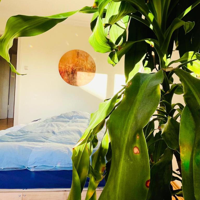 Ruheoase im Herzen von München - Appartamento con 3 Camere da Letto - 31