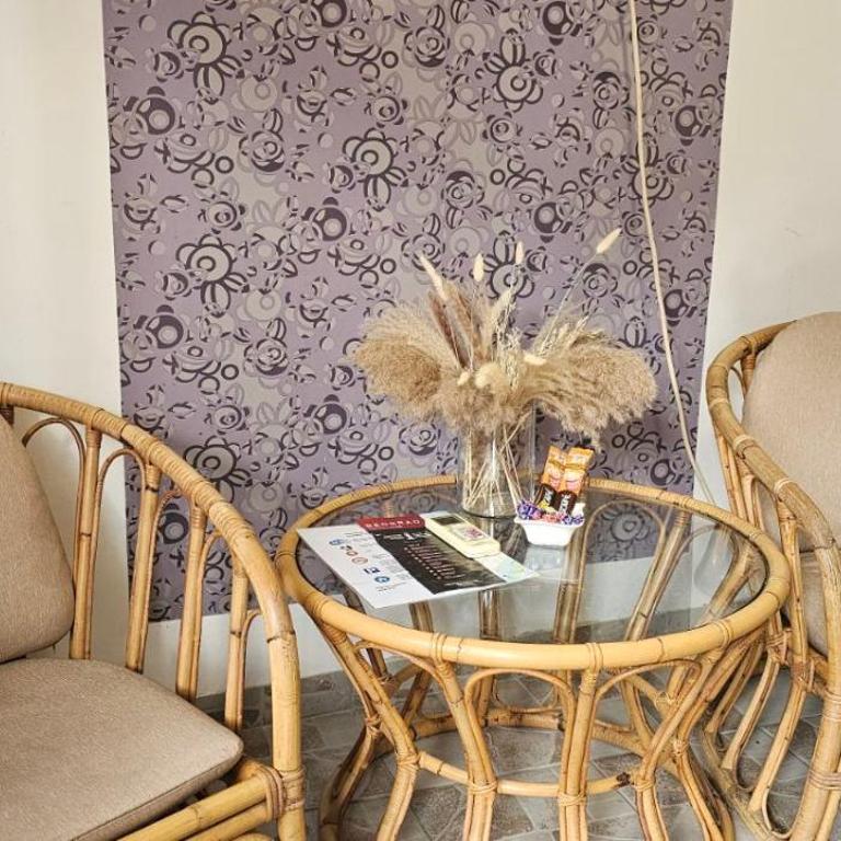 TeaBG - Apartman sa Terasom - 3