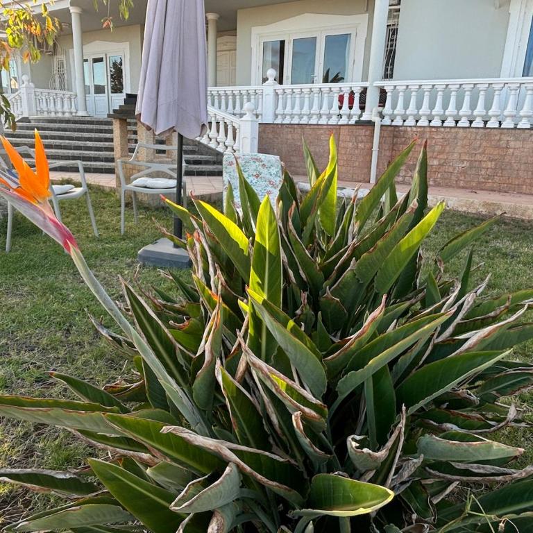 Kishni, peaceful and luxury suite villa - Villa frente a la playa - 31