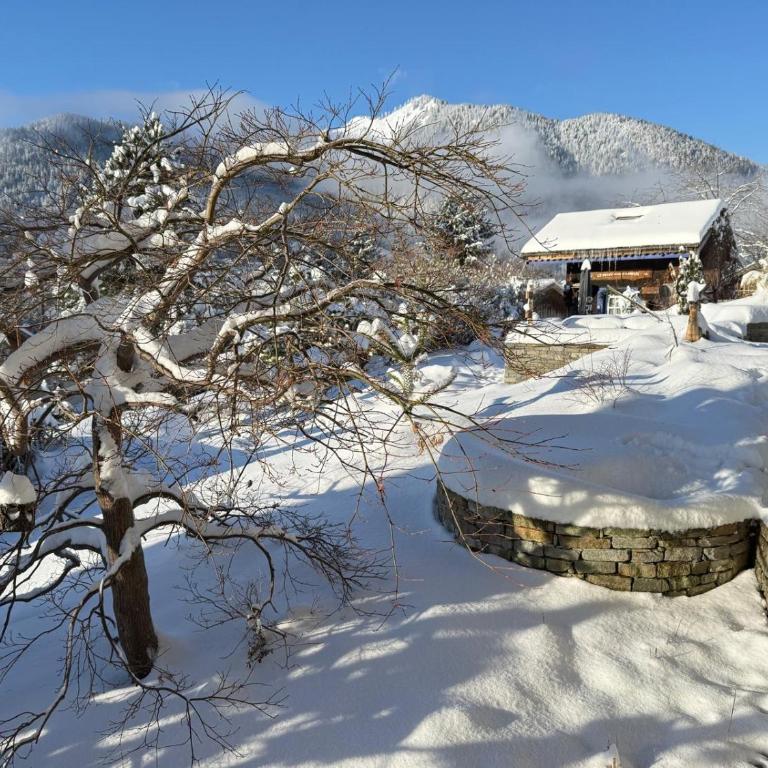 Micro-lodge, Le Petit Nid d'Amour - Kleines Chalet - 88