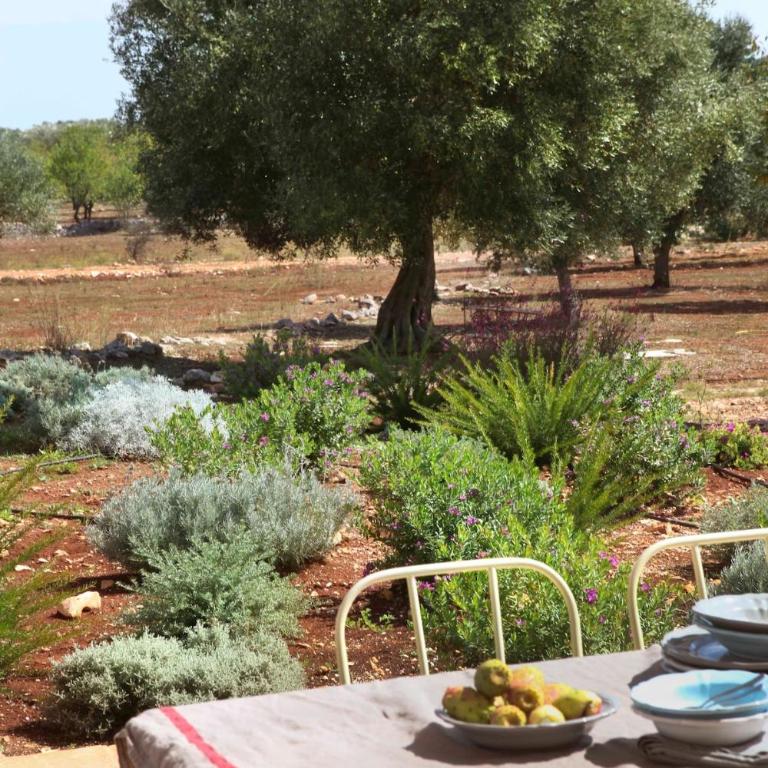 Villas with pool at Ostuni - Villa - 13
