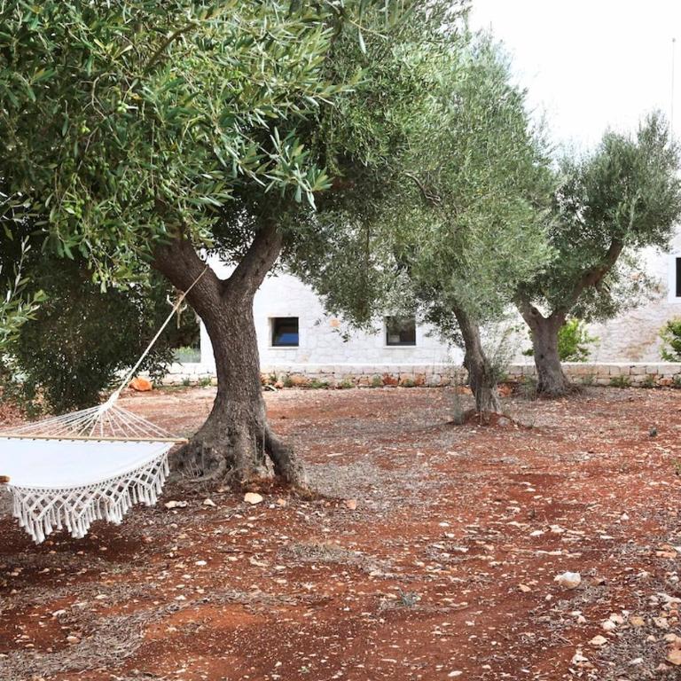 Villas with pool at Ostuni - Villa - 61