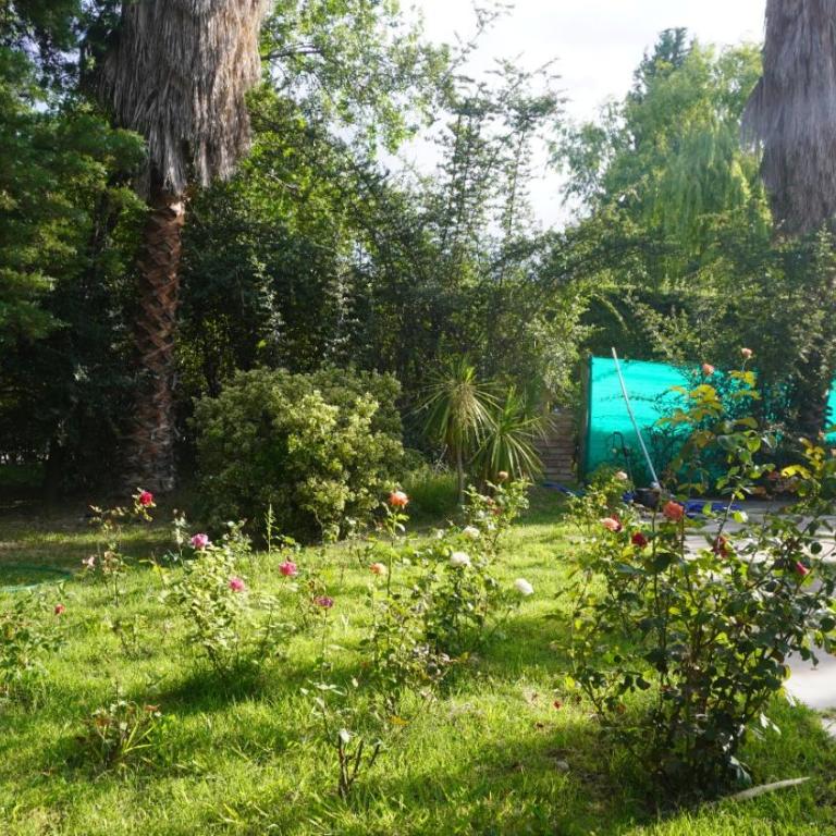 Quinta Coco - Apartamento de 2 dormitorios - 11