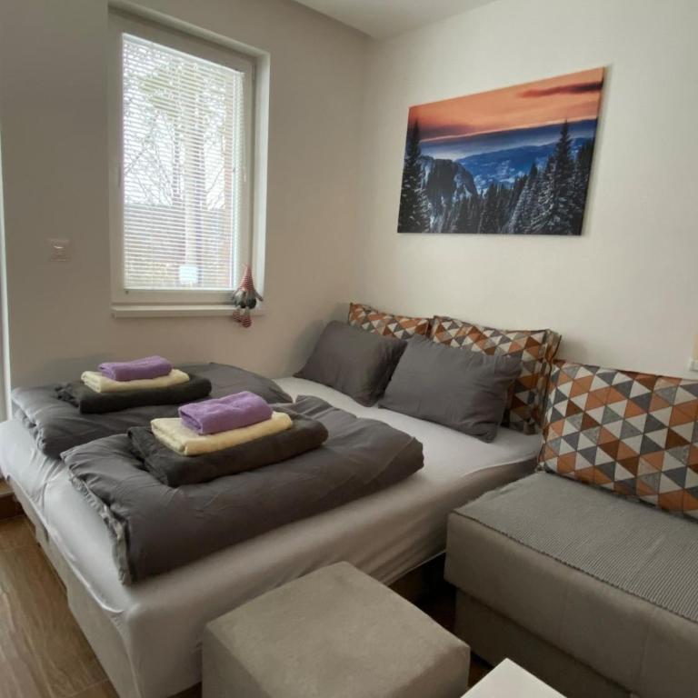 Apartment Treska Kop - Apartman sa 1 Spavaćom Sobom - 12
