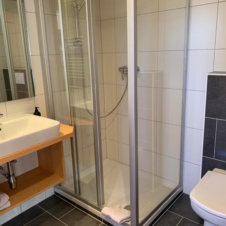 Appartement Schmid - Appartamento (2 Adulti) - 12