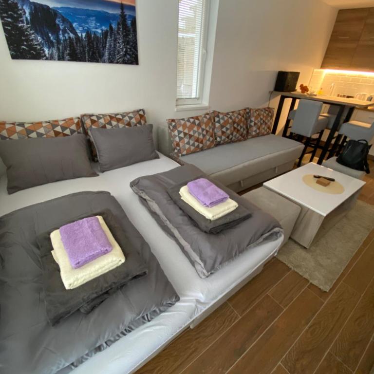 Apartment Treska Kop - Apartman sa 1 Spavaćom Sobom - 21