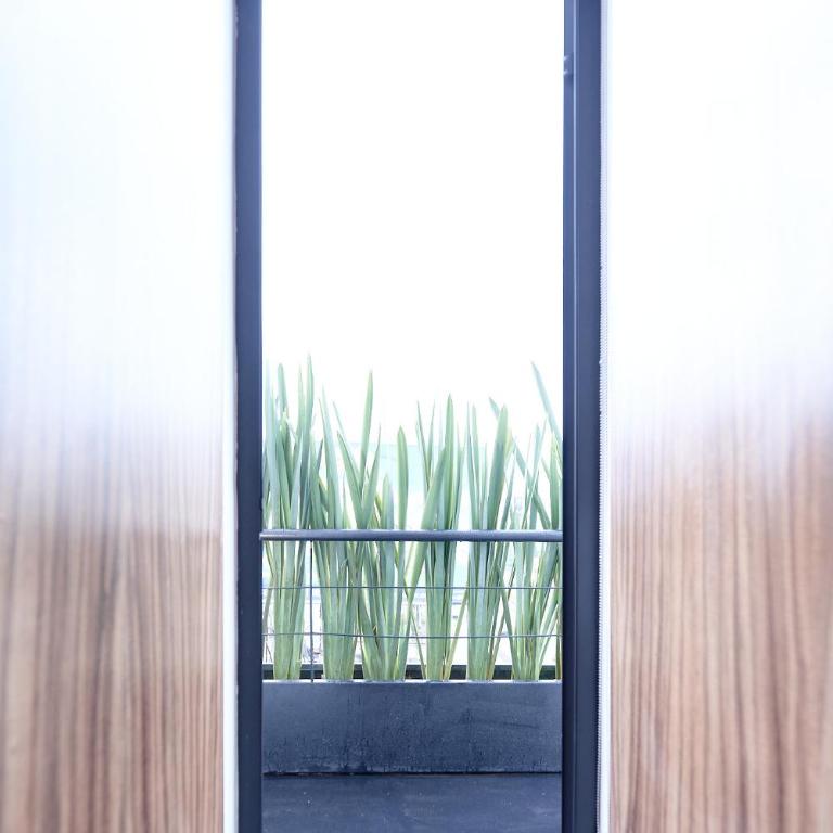 Céntrico departamento Ciudad de México - Apartamento de 2 dormitorios - 11