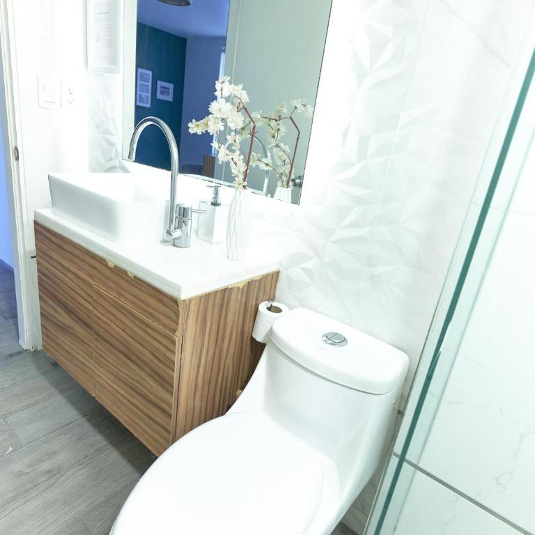 Céntrico departamento Ciudad de México - Apartamento de 2 dormitorios - 7