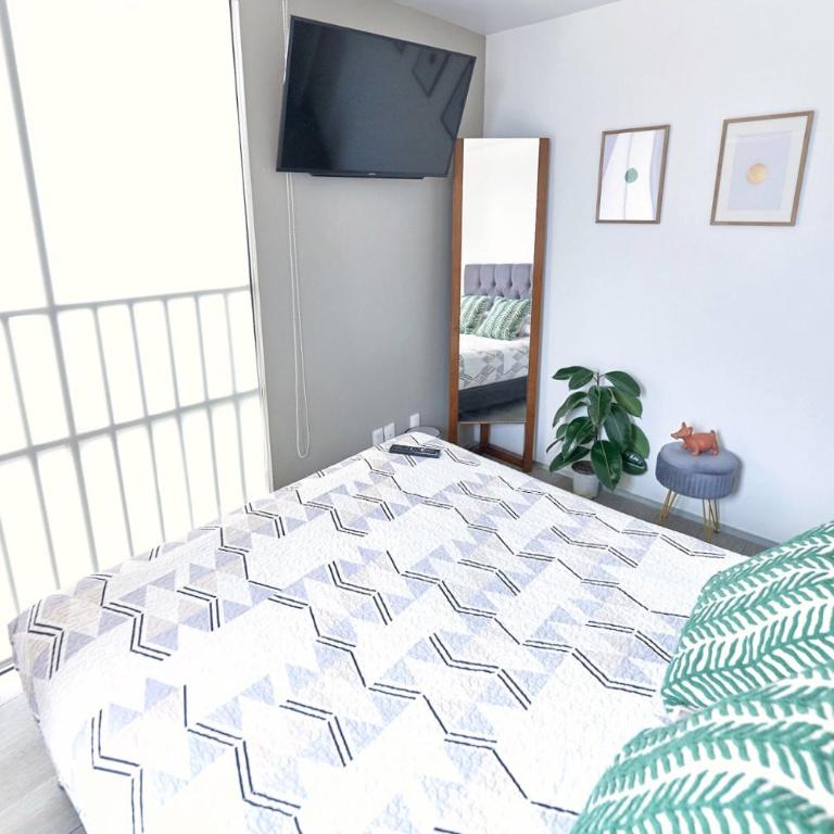 Céntrico departamento Ciudad de México - Apartamento de 2 dormitorios - 4