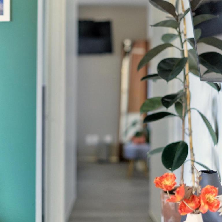 Céntrico departamento Ciudad de México - Apartamento de 2 dormitorios - 29