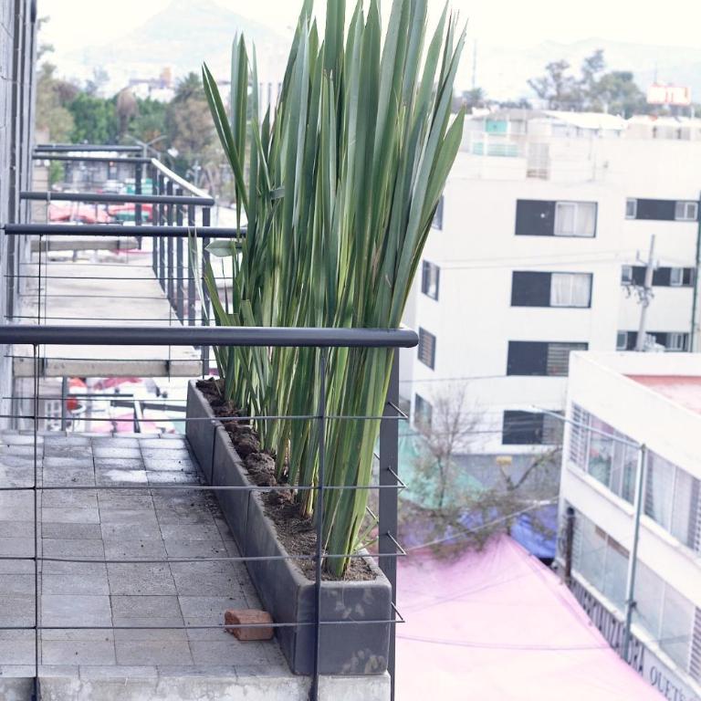Céntrico departamento Ciudad de México - Apartamento de 2 dormitorios - 38