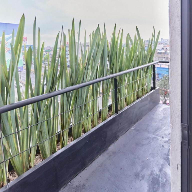 Céntrico departamento Ciudad de México - Apartamento de 2 dormitorios - 40