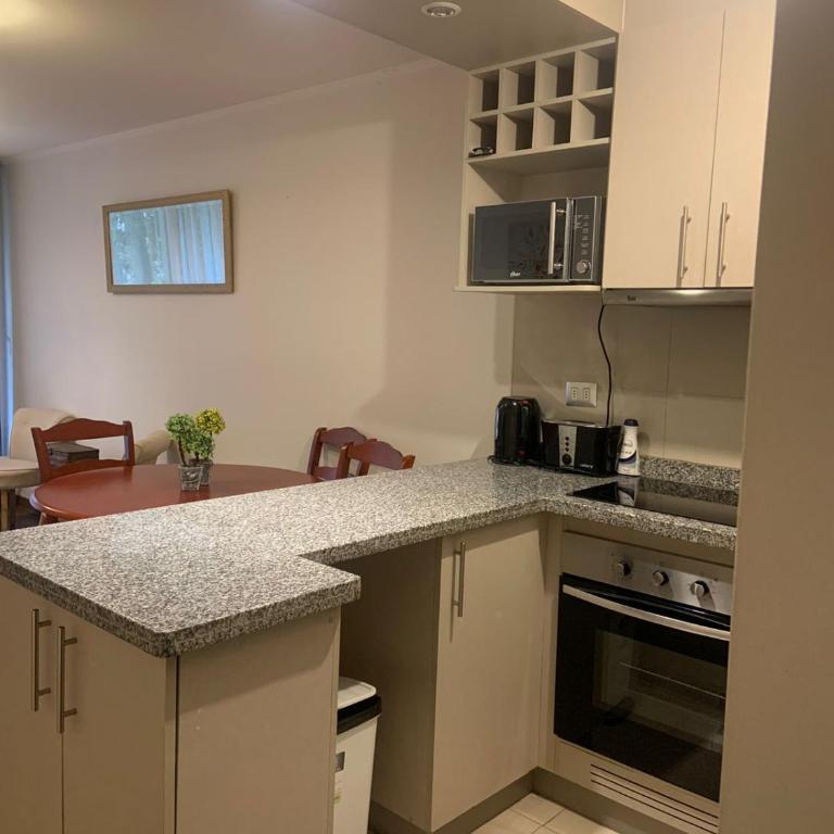 Departamento en Pucón - Apartamento de 1 dormitorio - 8