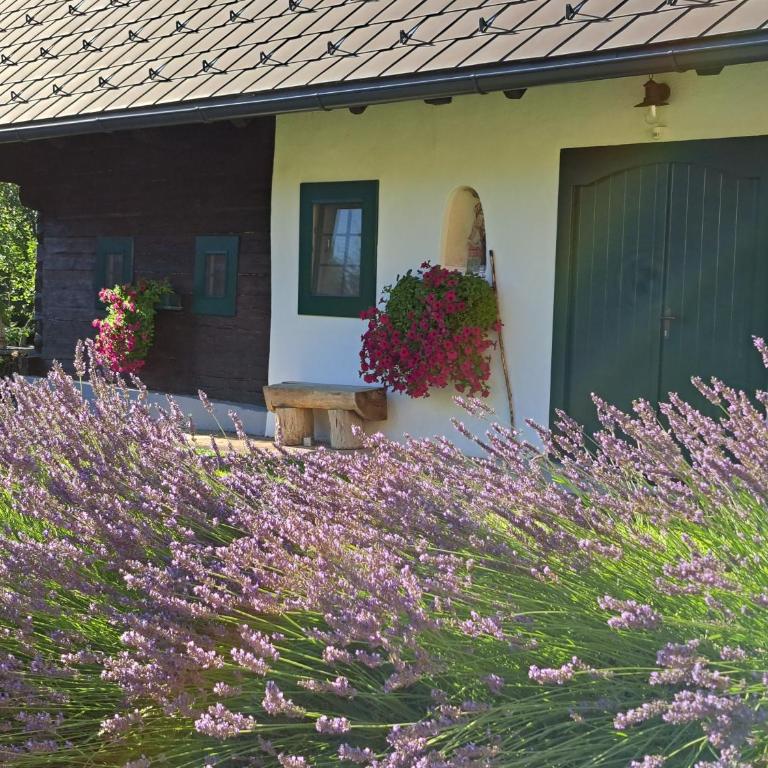 Ferienhaus KAUSCHLERHOF - Haus mit 3 Schlafzimmern - 60