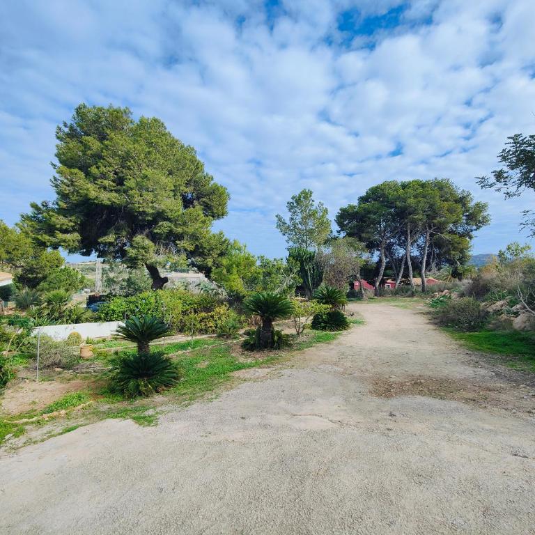 La campagne à 10 mn des plages et du centre ville de Cartagena - Maison 3 Chambres - 29