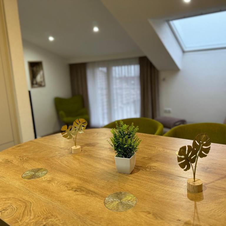 Apartments HAN 2 Sarajevo - Apartman sa Pogledom na Grad - 18
