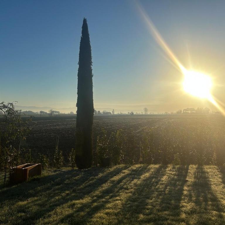 Little Tuscany - Villa con 2 Camere da Letto - 46