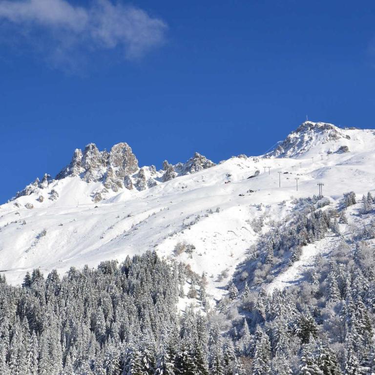 Superbe 4 pièces cabine, 8 pers, sauna, parking, Méribel - FR-1-182-263 - Appartement - 17