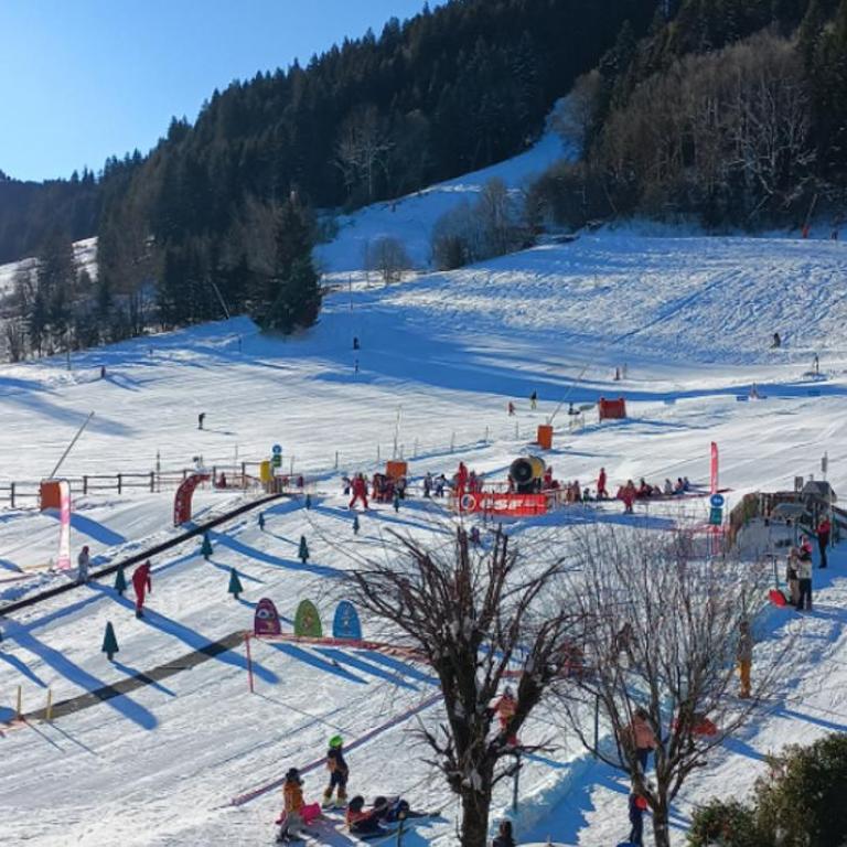 Résidence Frond'Neige - Apartamento de 3 dormitorios con vistas - 6