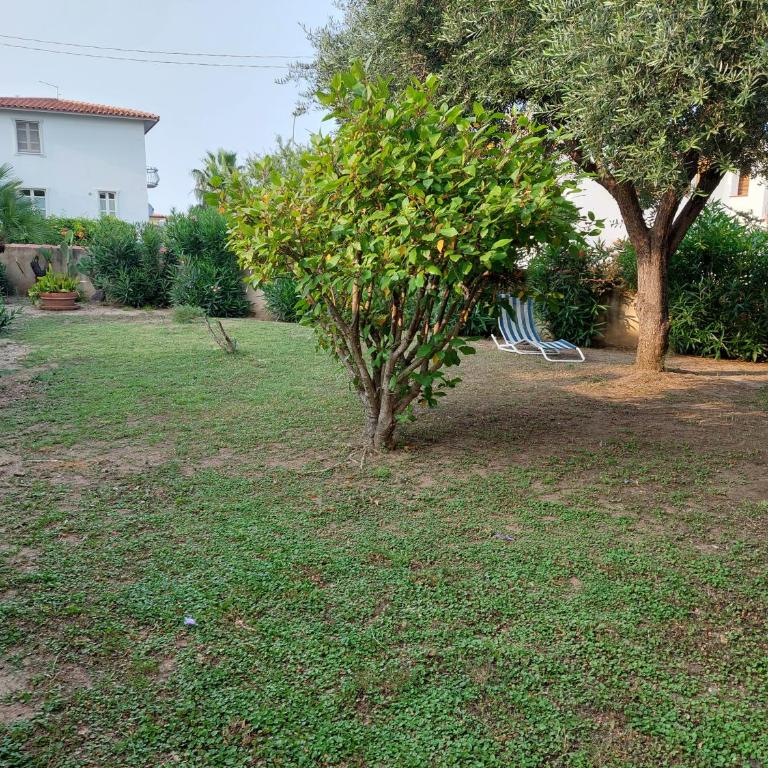 Orthilippa Giardino - Appartamento Standard con 3 Camere da Letto - 4