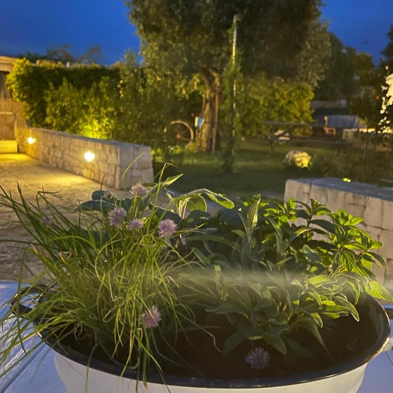 Grano Arso Appartamento Turistico - Casa con 1 Camera da Letto - 16