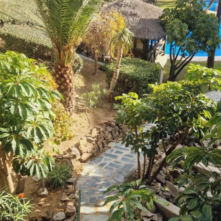 Reserva del Higueron Palm and Pool Apartment - Two-Bedroom Apartment with Garden View - 18
