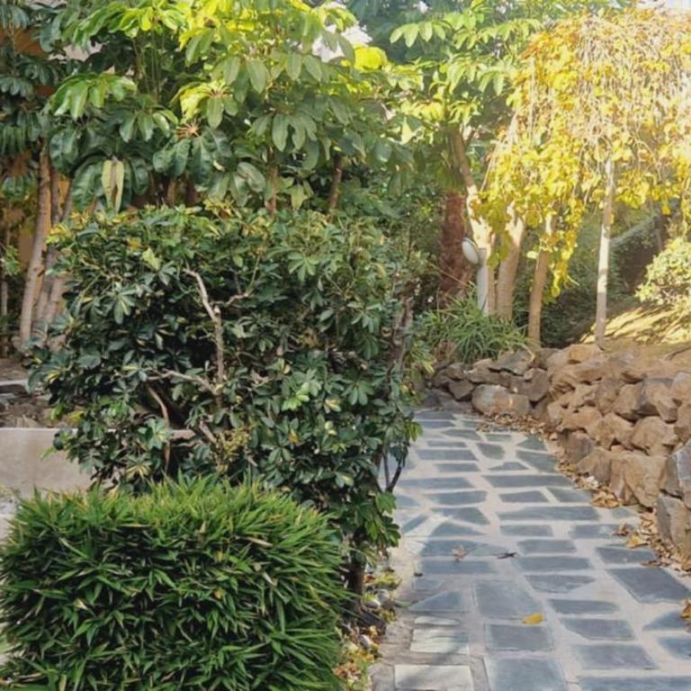 Reserva del Higueron Palm and Pool Apartment - Two-Bedroom Apartment with Garden View - 21