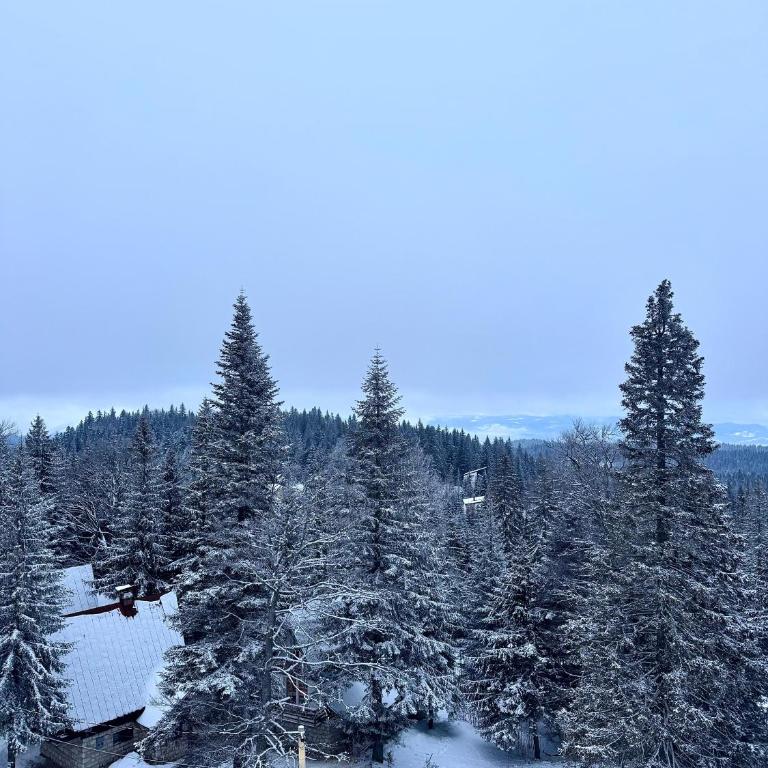 Bella Lux Jahorina - Apartman - 9