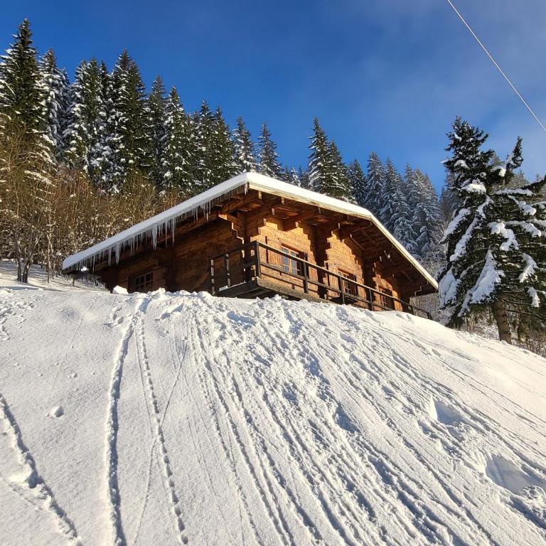Chalet d'alpage avec vue incroyable - Chalet 2 Chambres - 60