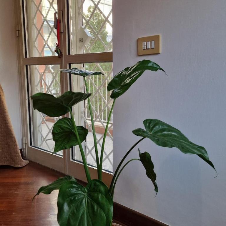 Peck House in Marconi San Paolo - Appartamento con 2 Camere da Letto e Balcone - 4