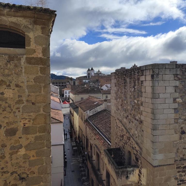 La Recoleta cent AT-CC 00881 - Apartment - 23