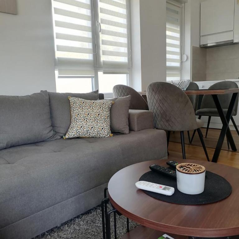 Apartman Dolce Vita Sokobanja - Apartman sa 1 Spavaćom Sobom - 9