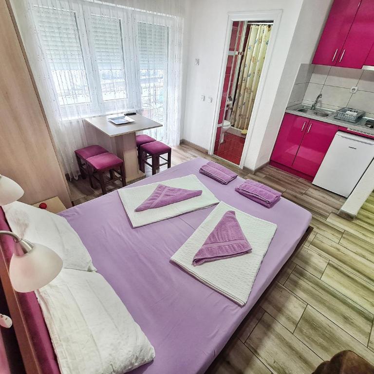 Vila Aleksandra 2 Studio 11 - Studio s King-sajz Krevetom i Sofom na Izvlačenje - 13