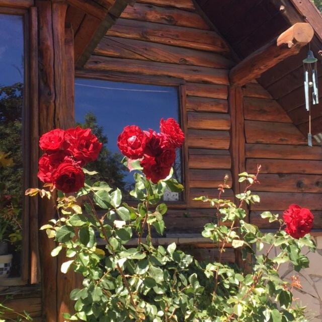 Beautiful Mountain Log Cabin! - Casa de 4 dormitorios - 26