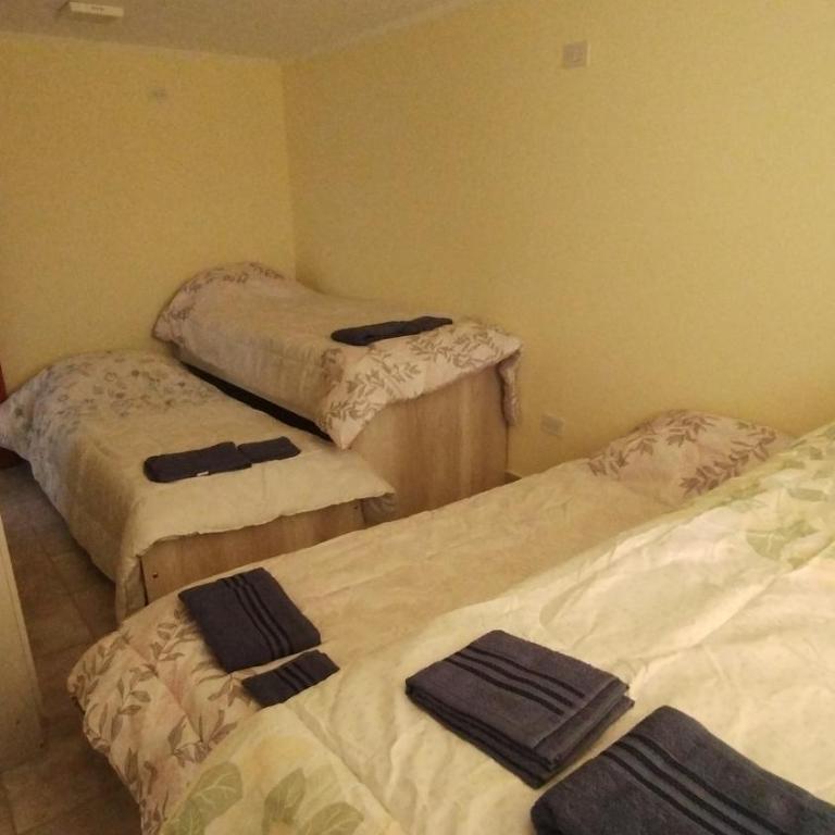 Trevelin Alojamientos - Apartamento de 2 dormitorios - 12