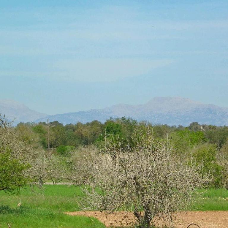 Sa Servera De Son Valls - Casa Vacacional de 3 dormitorios - 4