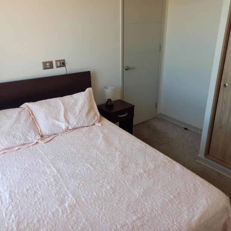 Viña del Mar - ARRIENDO DEPARTAMENTO AMOBLADO - Apartamento de 2 dormitorios - 13