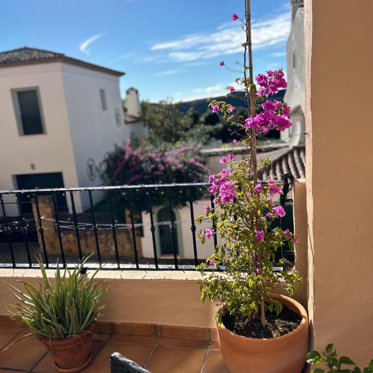 Apartment Duquesa Fairways/Manilva, Spain - Apartamento de 2 dormitorios - 14