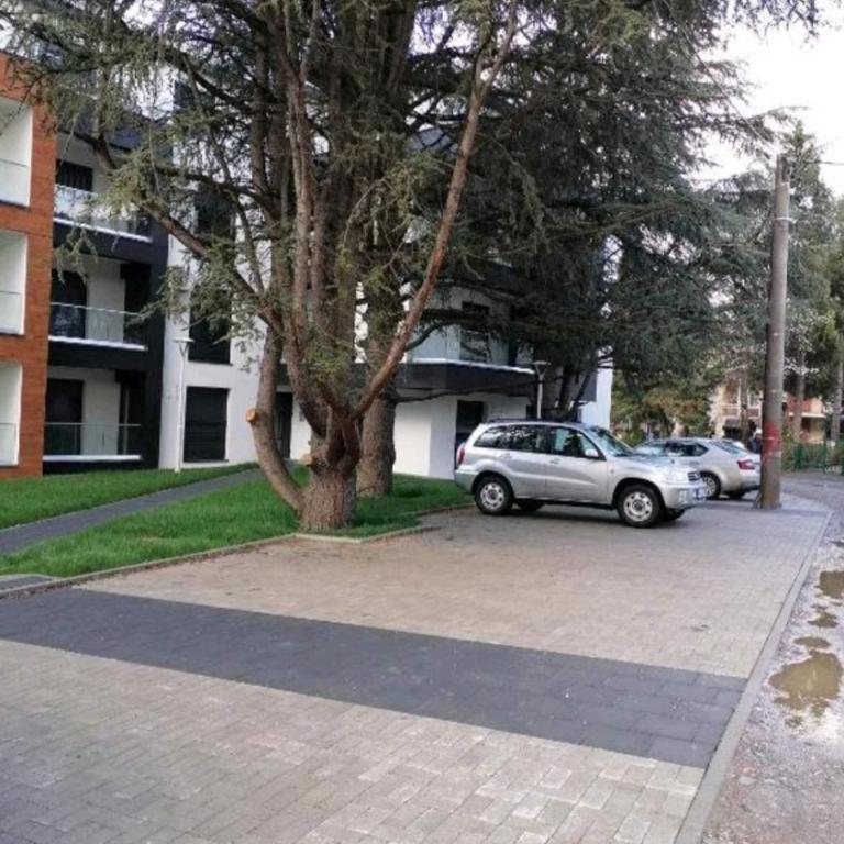 Sofika - Apartman sa 1 Spavaćom Sobom - 9