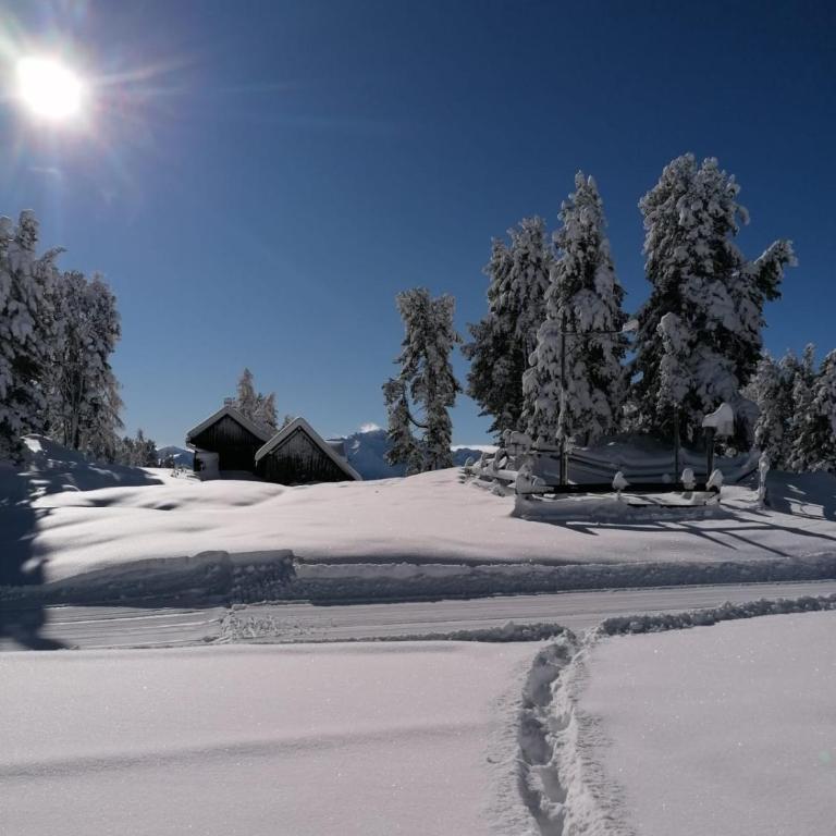 Stoderhütte - Apartment mit 1 Schlafzimmer - 11